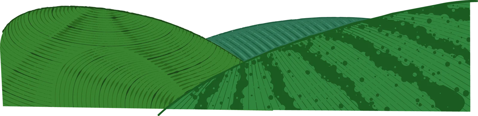 Mountain Front Layer